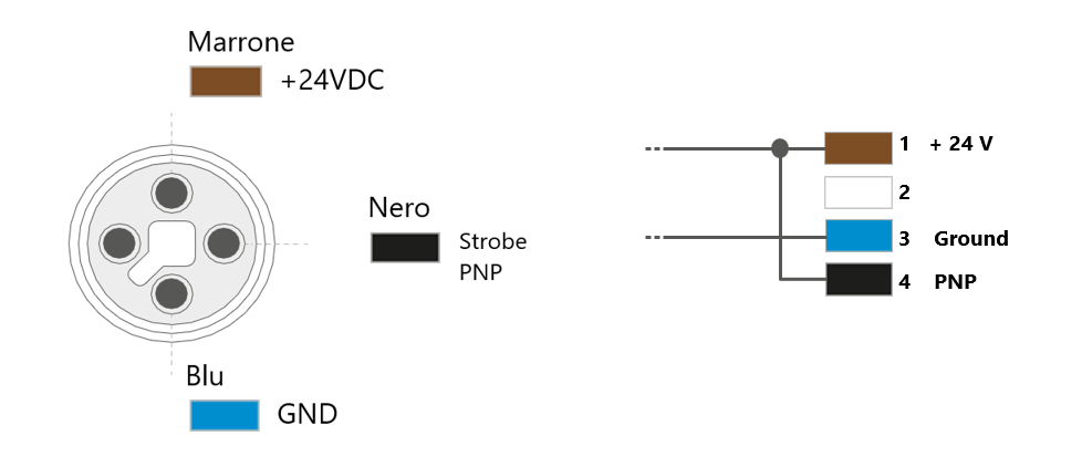 Pin Toplight
